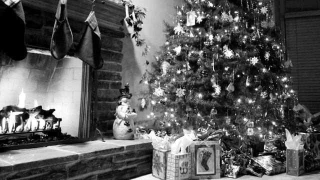 No Gifts This Year. смотреть онлайн