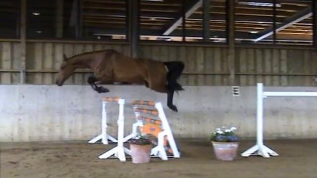 Paula Pocalino смотреть онлайн