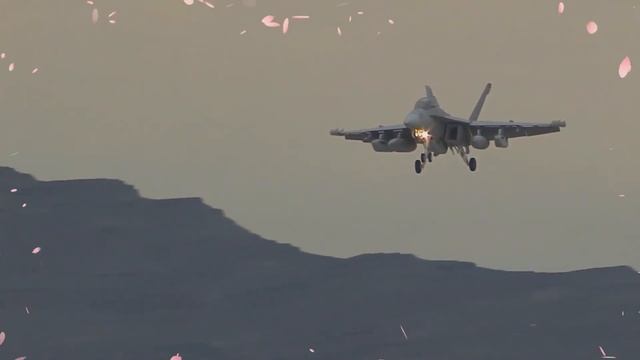 Boeing EA-18G Growler facts ✈️ 🇺🇸 carrier-based EW aircraft, version of FA-18F Super Hornet смотреть онлайн