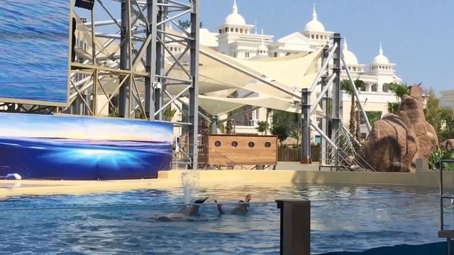 The Land Of Legends Theme Park смотреть онлайн