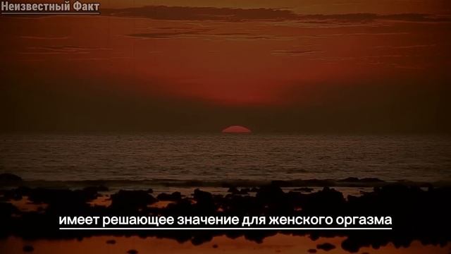 Психологические факты о человеческом поведении, которые поразят вас смотреть онлайн