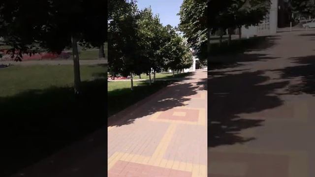 Зашли в парк в тенечик а там запах липы мммм смотреть онлайн