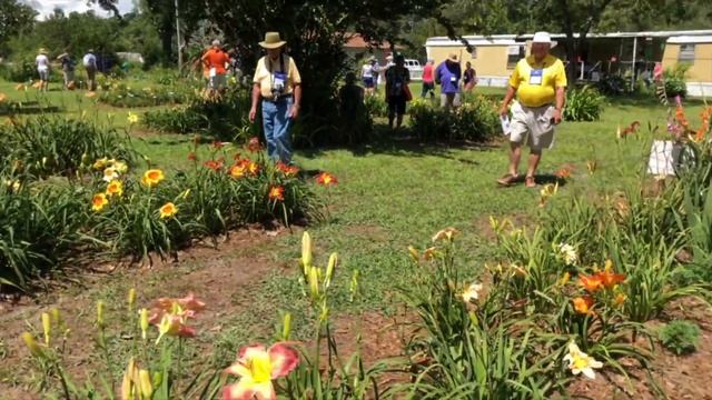 Don Albers Garden смотреть онлайн