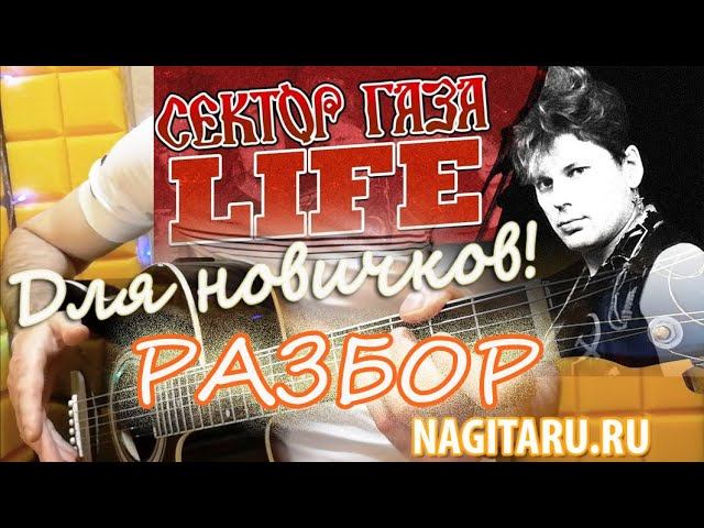 Как играть Сектор Газа - "ЛАЙФ". на простых аккордах, разбор для начинающих, на гитаре смотреть онлайн