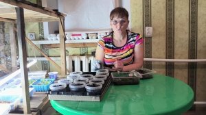 Растим ЭУСТОМУ вместе. Вовремя заметила ЭТО. Лучшая ЕМКОСТЬ ДЛЯ РАССАДЫ