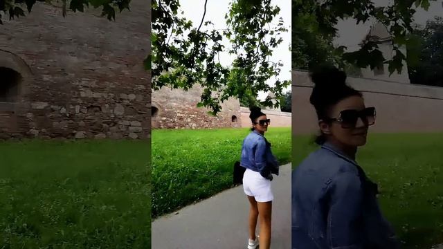 Tom Jones - She's a Lady смотреть онлайн