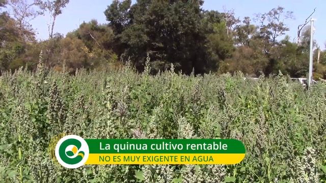 Eco Rural | Emisión Sábado 12 | Agosto 2023 смотреть онлайн