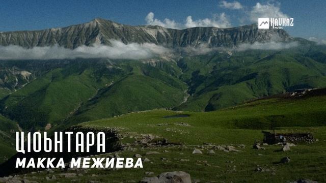 Макка Межиева - Ц1оьнтара | KAVKAZ MUSIC CHECHNYA смотреть онлайн