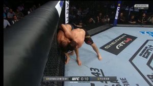 Хабиб порье   бой UFC 242 abu dhabi