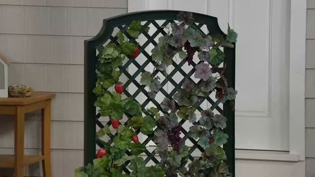 Calypso Self-Watering Planter with Trellis and Wheels on QVC смотреть онлайн