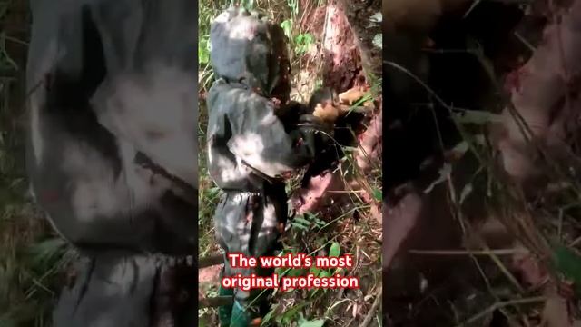 The most unique profession in the world #adventure #shorts смотреть онлайн