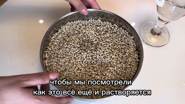 Растения для рабочего стола