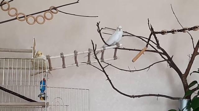 Дружба или любовь. смотреть онлайн
