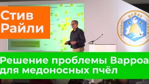 Стив Райли: Решение проблемы Варроа для медоносных пчел