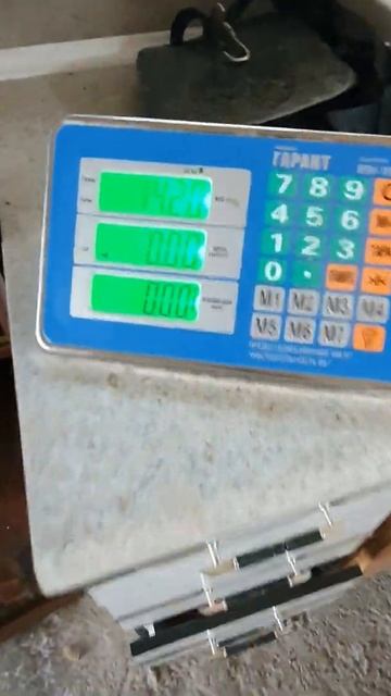Второй сбор ежевики 1.07.2021 год) смотреть онлайн