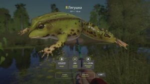 Русская Рыбалка 4 (Трофей Лягушка) оз. Комариное