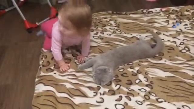 Кошка лучший друг ребенка