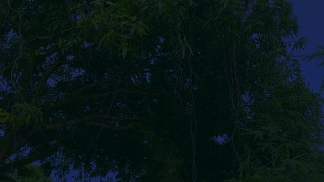 The sound of thunder and storm in Rayong Thailand, ambiance ASMR video for meditation, relaxation & смотреть онлайн