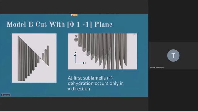 ME492 Tuna Yıldırım - The Consequences of Dehydration-Hydration on Bone Anisotropy and... смотреть онлайн