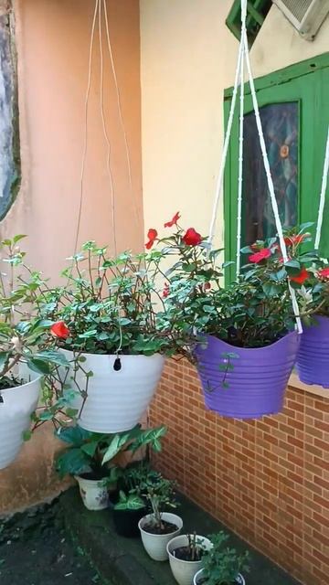 Hanging Flower Pot Ideas смотреть онлайн
