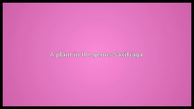Saxifrage Meaning смотреть онлайн