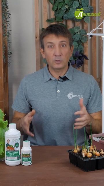 Зелень на подоконнике смотреть онлайн