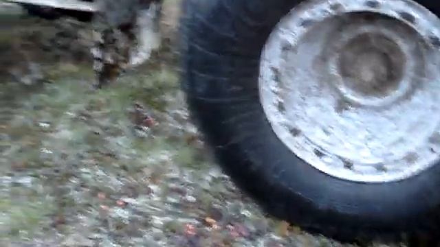 Варандей-ковёр из морошки(Валерий Шемякин) смотреть онлайн