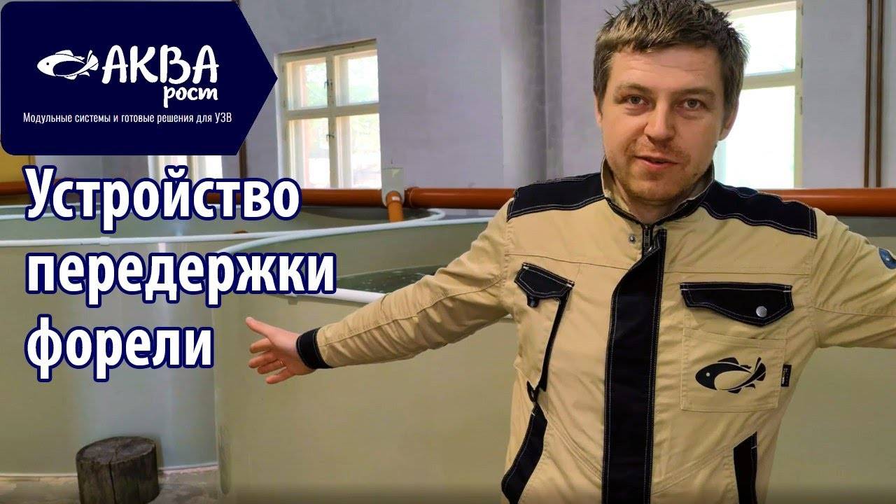 Устройство передержки рыбы в УЗВ смотреть онлайн