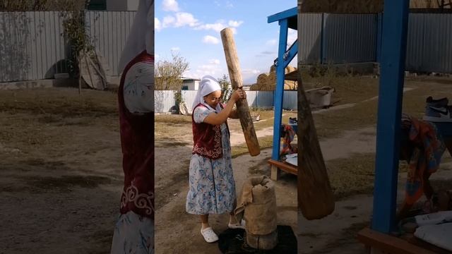 ТАРЫ. ТАРЫ ҚУЫРУ.Тарының пайдасы. Майсөк. Тары шәй. Тары талқан. смотреть онлайн