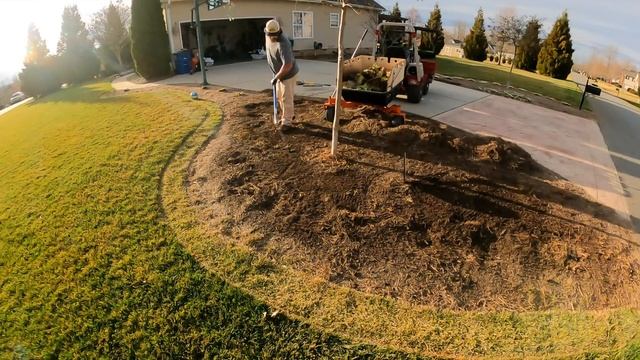 Transplant Landscape Border Plants the Simple Way смотреть онлайн