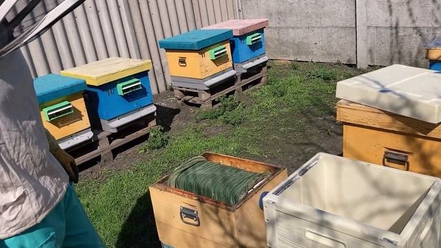 Однорамочний відводок бджіл в ППУ вулику фірми "Бджоляр" смотреть онлайн