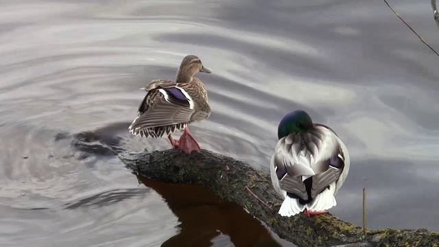 14 апреля 2025 года