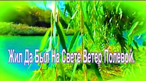 Жил Да Был На Свете Ветер Полевой. автор: Марсель Давлетов.