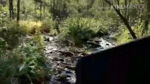 На газ 66 ! На разведку по кедровый орех