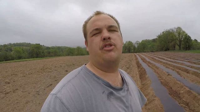 Planting our vegetables - Laying the groundwork. (Part 1) смотреть онлайн
