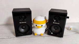 Обзор колонок Defender SPK 270