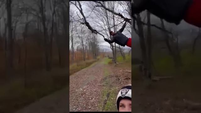 Немного юмора смотреть онлайн