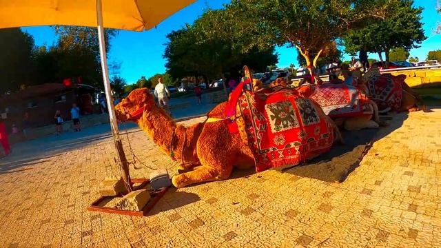 Turcja 2022, Manavgat Side Aspendos Selge Tazi Kanion Alarcha Small Capadocia GoPro смотреть онлайн