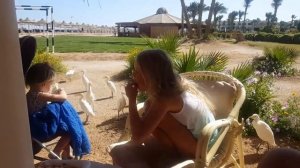 regency plaza aqua park & spa 5* перекус на пляже