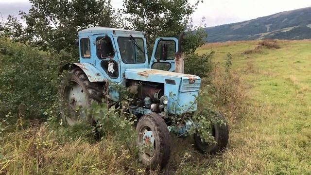Трактор Т40 Пытается Выташить Дерева | ЛТЗ или МТЗ ?