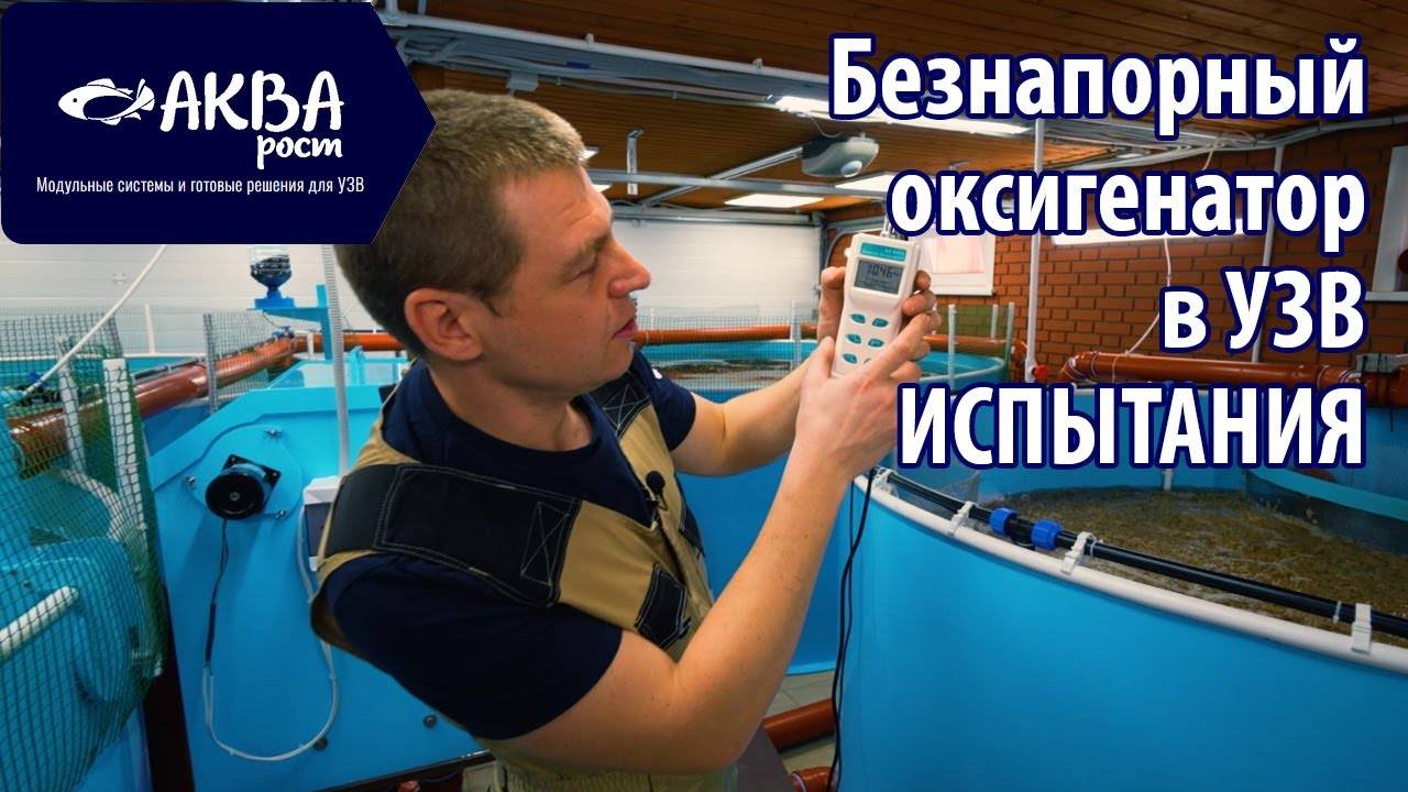 Замеры кислорода и низконапорный оксигенатор в УЗВ #рыбоводство #узв #разведениерыбы #романакварост смотреть онлайн