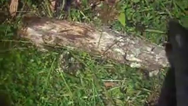 ESEE Lite Machete pt 2 of 3 смотреть онлайн