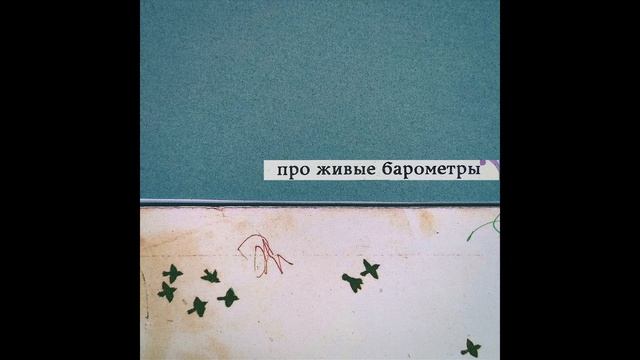 тихий час - про живые барометры смотреть онлайн