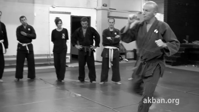 Ura kin geri, close range reverse crotch kick, basic - Ninjutsu for Akban wiki смотреть онлайн
