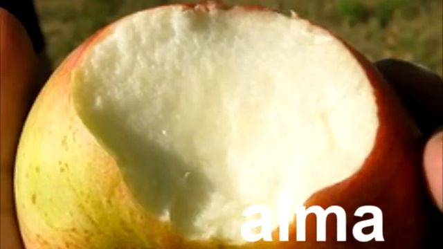 Azerbaijani Lesson 1 Vocab Pt 1 смотреть онлайн