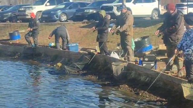 WhatsApp Video 2025-04-14 at 09.59.16 смотреть онлайн