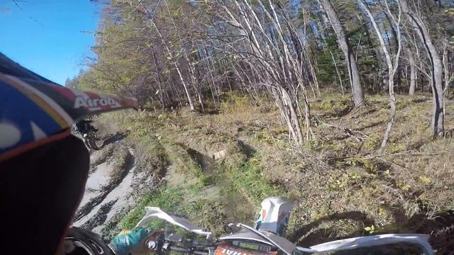 На Корсаков через охотскую дорогу смотреть онлайн