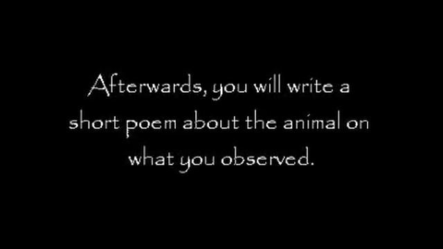 Animal Poetry: Fun Forms of Poetry- Melissa Ramos смотреть онлайн