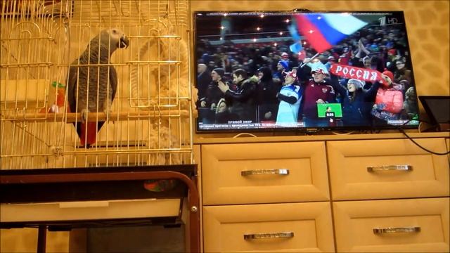 Болеем вместе за Россию! смотреть онлайн