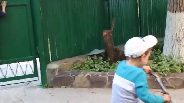 Семейное общение у дедушки и бабушки 26 05 19 смотреть онлайн
